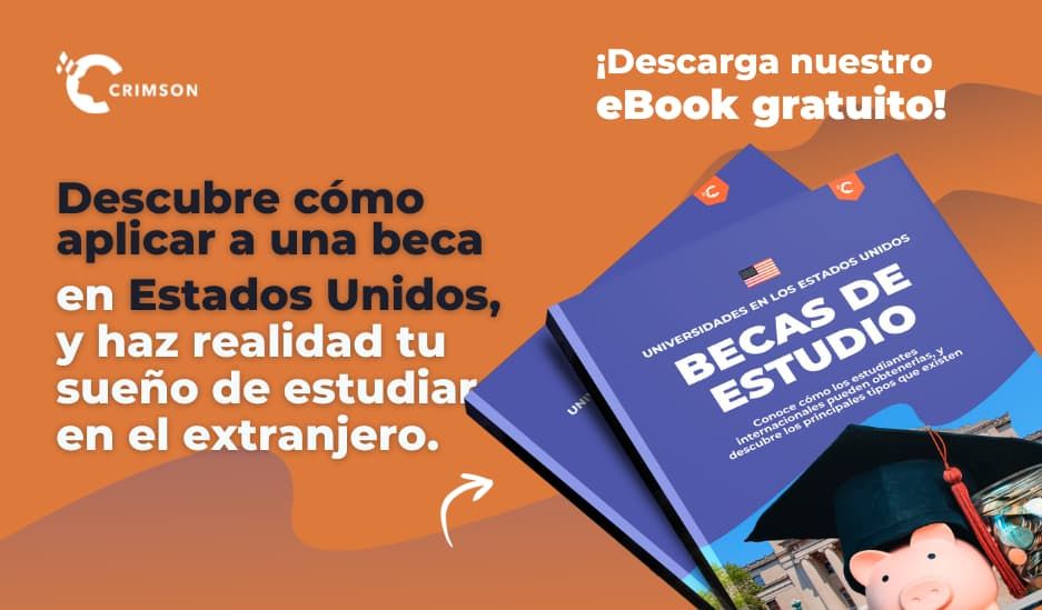 descubre los diversos tipos de becas que existen guia completa